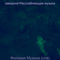 Созерцая (спа) - заводной Расслабляющая музыка