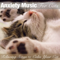 Healthy Kitty - Cat Music Dreams & Pet Music Therapy & Relax My Kitten & RelaxMyCat