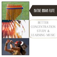 Dancing With the Wolvs - Native Indian Flute
