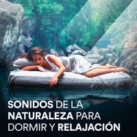 Sonidos del Bosque: Primavera, Vientos y el Mirlo - Michael Hamilton