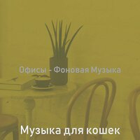 Музыка (Дождливые дни) - Музыка для кошек