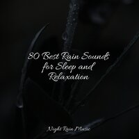 Forest, Night, Frogs - Yoga Soul & Relaxing Music Therapy & Meditation Relaxation Club