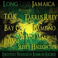 Yardie - T.O.K