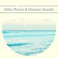 True Silence - Zen Mindwaves