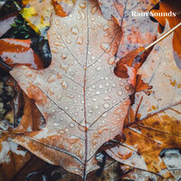 Rainy Days, Rain Sounds for Relaxing and Sleeping, Pt. 4 - Weather and Nature Recordings & The Outdoor Library & Rain Sounds & Nature Sounds