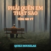 Phải Quên Em Thật Sao - Tống Gia Vỹ