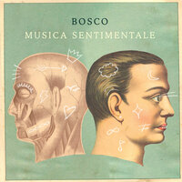 Finire - Bosco