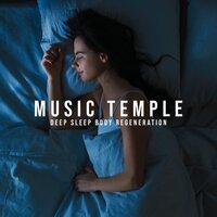 Healing Zone - Deep Sleep Sanctuary