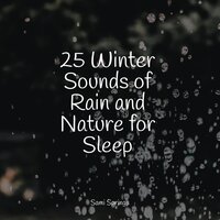 Raindrop Shower - Meditation Zen & Help Me Sleep & Relaxed Minds