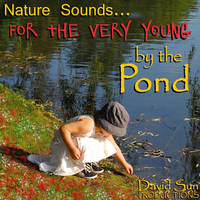 By the Pond - David Sun