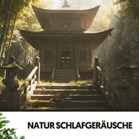 Die Umarmung des Regens - Solfeggio Frequencies 528Hz & The Nature Soundscapes & Entspannungsmusik
