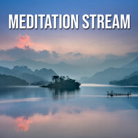 Meditative Waters - Estimulación Cerebral