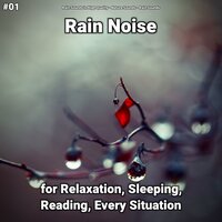 Fond Sound Effect - Rain Sounds in High Quality & Nature Sounds & Rain Sounds