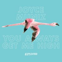 Brooklyn Down - Joyce Muniz
