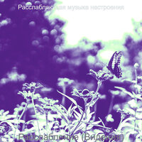 Впечатление (Расслабление) - Расслабляющая музыка настроения