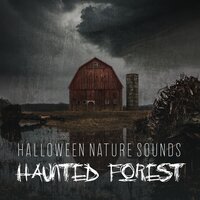 Friday 13th - Spooky Halloween Sounds