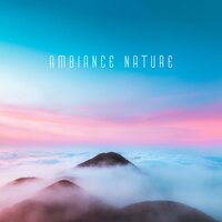 Énergie vitale - Nature Académie & Zone de Détente