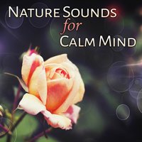 Relaxation (Yoga Music) - Healing Power Natural Sounds Oasis