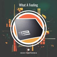 What A Feeling - Igor Pumphonia