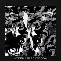 Arachnid - Modem