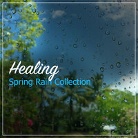 Rain Sound: Meditation - Mother Nature Sound FX, Lush Rain Creators, Rest & Relax Nature Sounds & Mother Nature Sound FX & Rest & Relax Nature Sounds & Lush Rain Creators