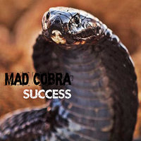 Try to Be Like We - Mad Cobra