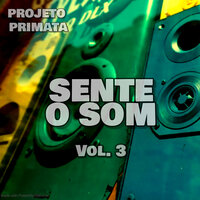 Linha da Pipa - Projeto Primata