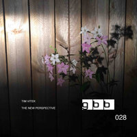 The New Perspective - Tim Vitek
