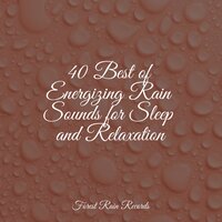 Pleasant Rains - Deep Sleep Systems & Naturaleza Sonidos & Massagem Guru