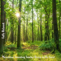 Miraculous Sounding Summer Breeze in the Forest, Pt. 14 - Steve Brassel
