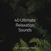 Noise Control - Study Music & Relax Meditation Sleep & Massagem