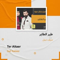 Ter Altaer - Saif Nabeel