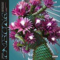 Disturbo alla mente pubblica Pt. 2 - Big Bang Family & Nx