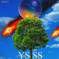 See. - Arlie P