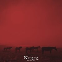 Im Wind - Nurez