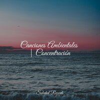 Solo Para Relajarse - Canciones de Cuna 101 & Massage Music & Sonido de lluvia