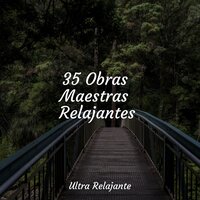 Completamente Calmado - Ioga & Canciones Infantiles Para Niños & Canciones de Cuna para Bebés Acadèmico