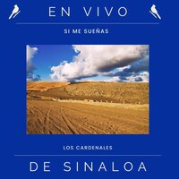 Catorce Años Nueve Meses - En Vivo - Los Cardenales De Sinaloa