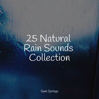 Drops in the Water - Relaxing Sleep Sound & Meditation Zen & Forest Soundscapes