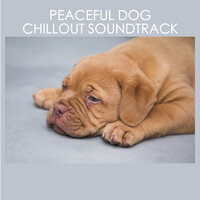 Raindrop Walks - Dog Chillout Zone