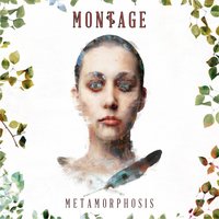Black Magic - MONTAGE