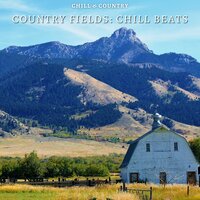 Shoot From The Hip (Country Beats) - Chill