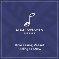 Feelings I Knew - Processing Vessel