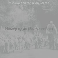 Настроения (Собаки, щенки) - Музыка для собак общество