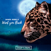 Want You Back - Inner Rebels & Vicent Ballester