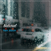 Gentle Rain on Pavement - Fabricantes De Lluvia