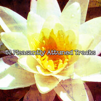 The Fruits Of Answer - REIKI