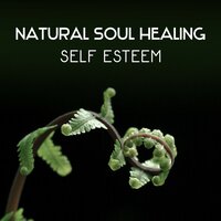 Fight with Trouble Sleeping - Harmony Nature Sounds Academy