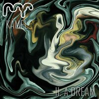 By Hook or by Crook - kamel