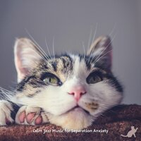 Cuddling You - Jazz Music Therapy for Cats